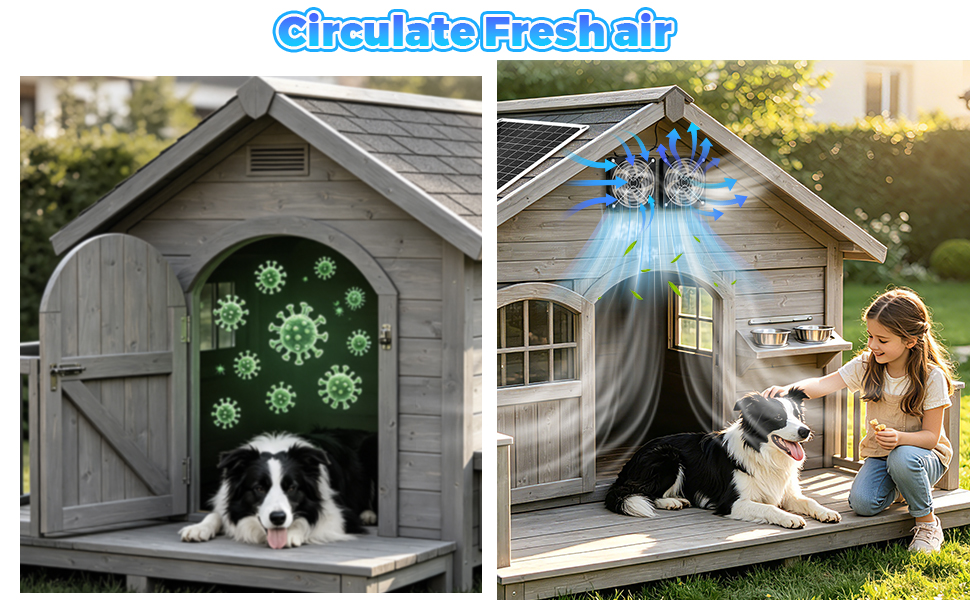 solar fan