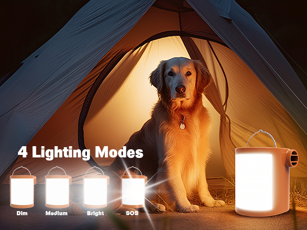 Camping Light
