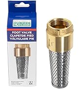 Foot Valve, 1