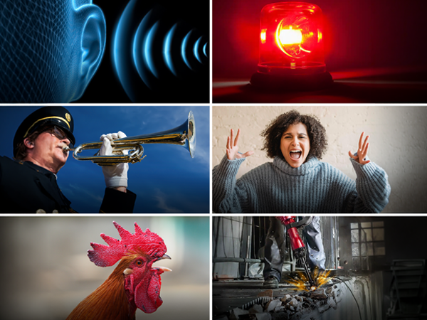 6 HIGH-IMPACT WAKE SOUNDS THAT BREAK THROUGH SLEEP Rooster Bugle Siren Jackhammer Beep Nagging Voice