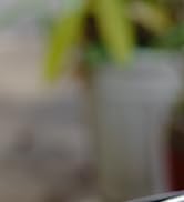 cycling computers for road bikes