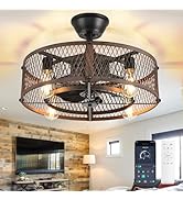 DLLT Caged Ceiling Fan with Lights: 20" Farmhouse Fandelier with Light and Remote - Walnut Indust...