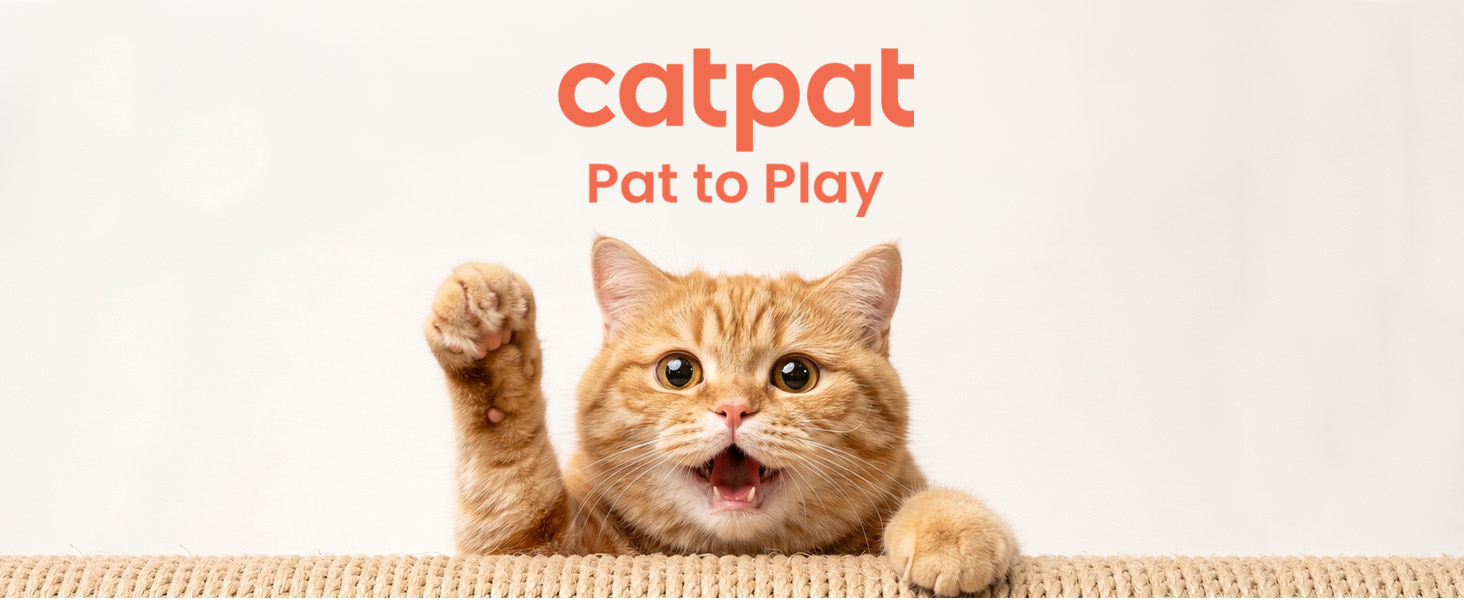 611 cat toy