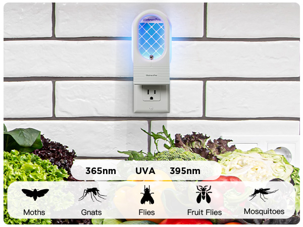 fruit fly traps for indoors gnat traps for house indoor gnat killer indoor fruit fly killer gnats