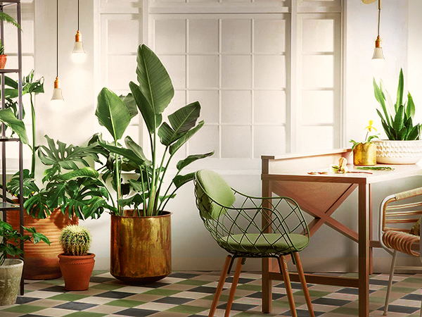 grow light bulb for indoor plants