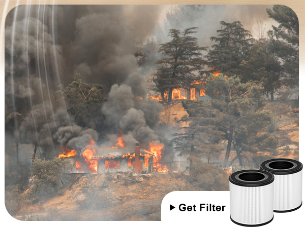 home air purifiers