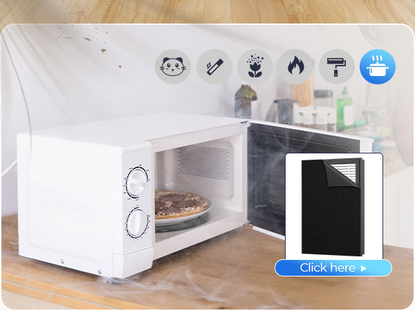 air purifier with washable filter