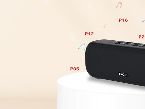 Bluetooth Speaker Radio