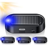 car theft prevention device