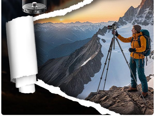 tripod head