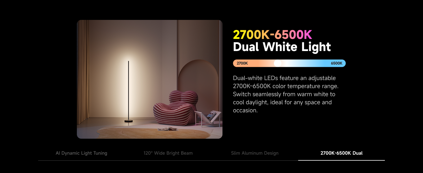 LED Floor Lamp