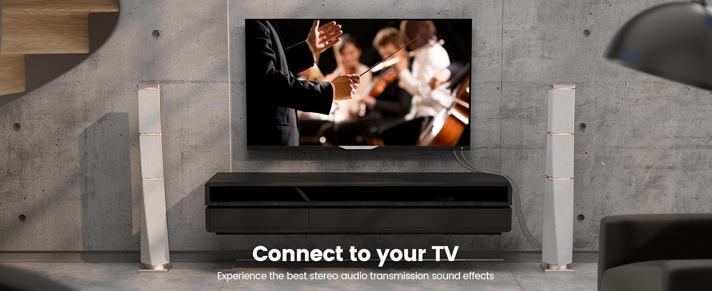 MOSWAG Dual RCA to Dual 1/4 Cable