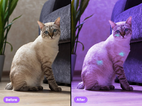 flashlight flashlights high rechargeable lumens led powered battery flash bright powerful