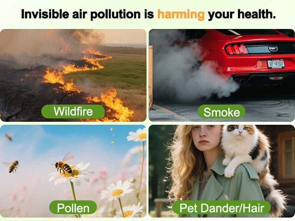 air purifiers