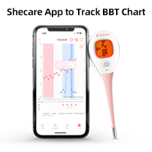 basal thermometer