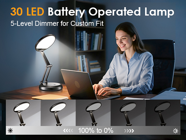 Battery Operated Lamp