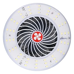 High-Intensity LED