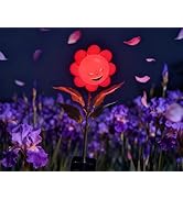 Personified Bobble Face Wind Spinners Sunflower Solar Fairy Light Outdoor with Funny Smirking Fac...