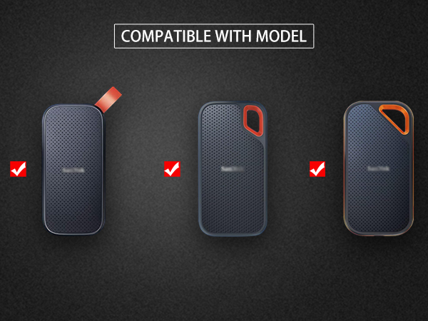 Case for sandisk