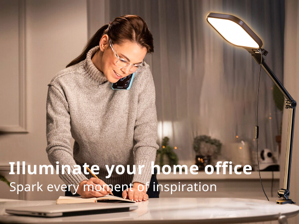 Video conference light