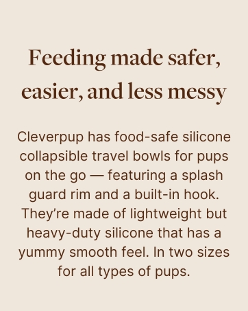 Cleverpup Brand Story Slide 4