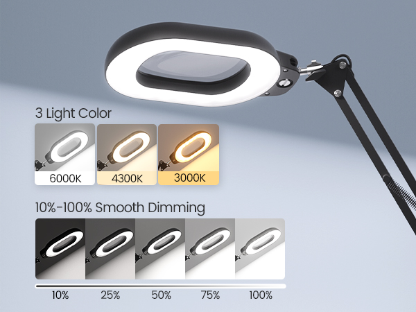 Magnifying Desk Lamp