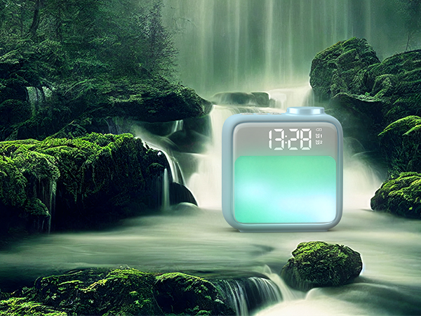  Forest Stream Simulation