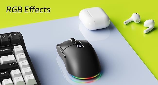 mouse