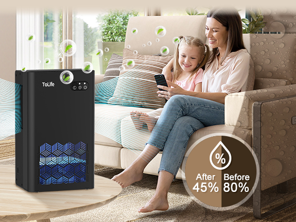 dehumidifiers for home