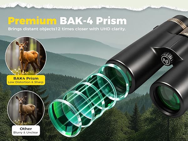 Lightweight Binocular