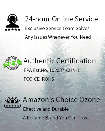 onamor ozone generator