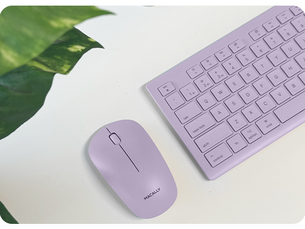 BTSLKEYPUCB (Premium A+)