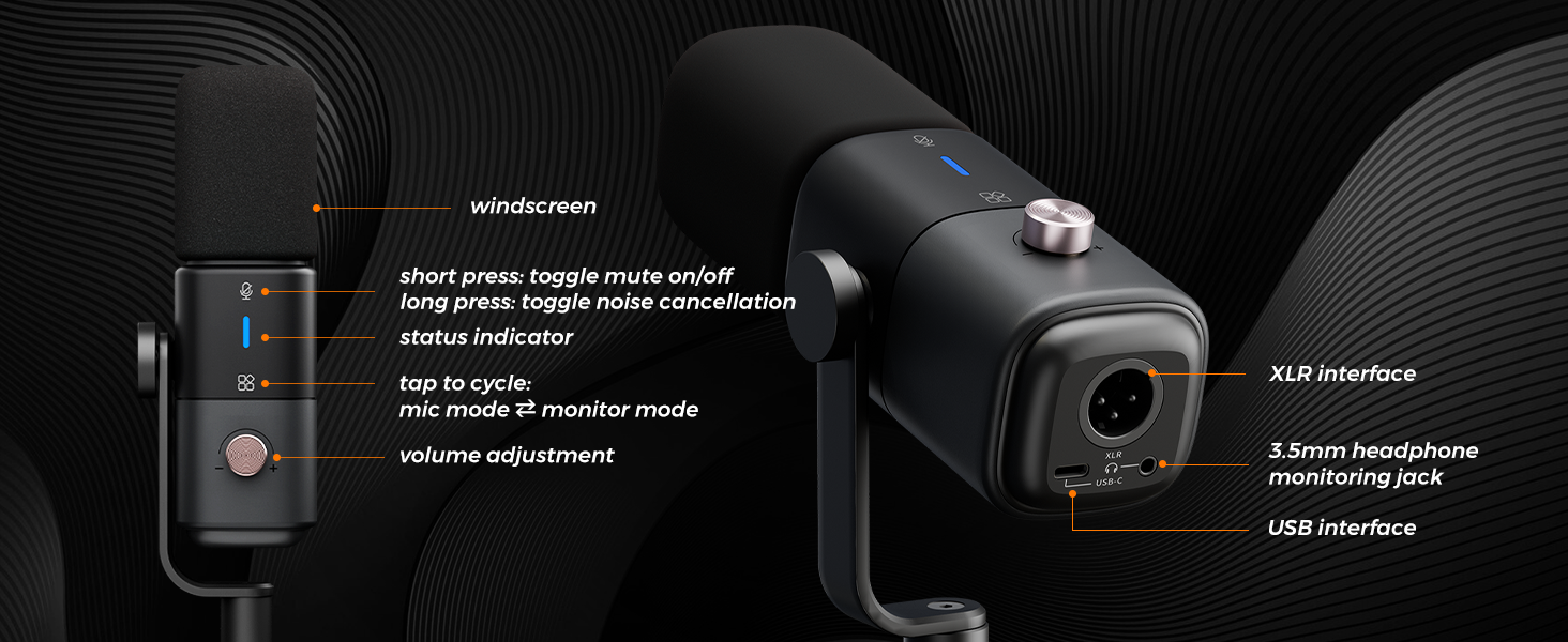 professional microphone for recording