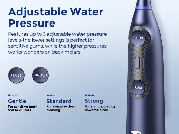electric toothbrush with water flosser