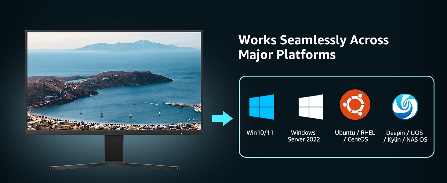 10g network card