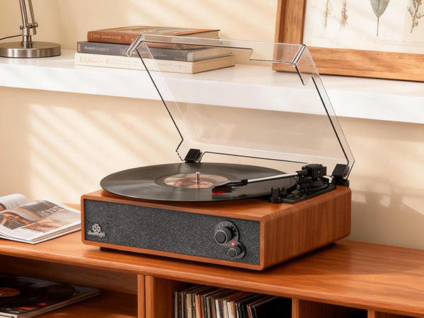 record player for vinyl with speakers