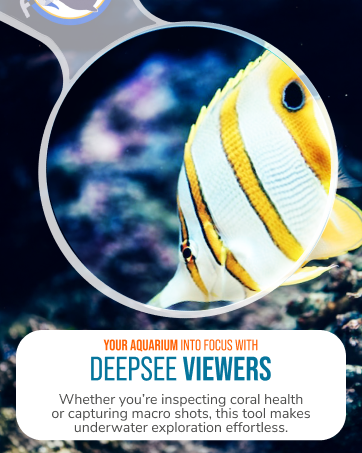flipper deepsee magnetic aquarium magnifying glass underwater viewer coral lens reef freshwater