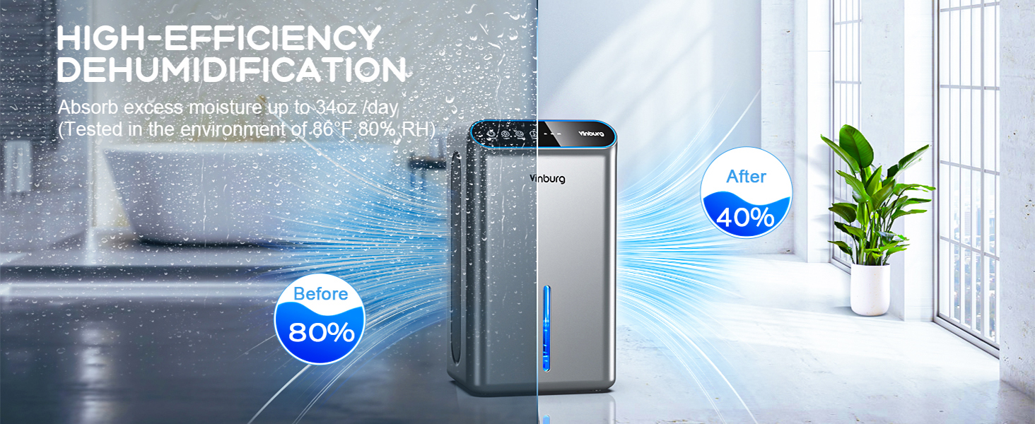 Dehumidifier for Basement