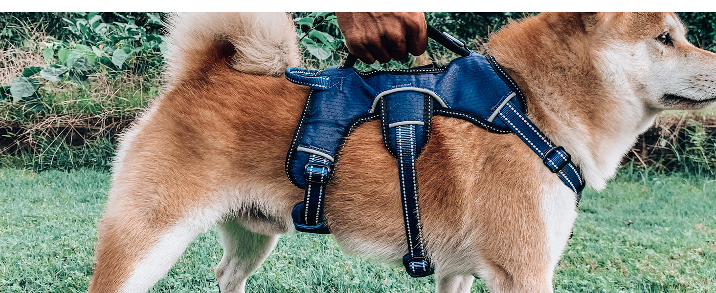 Tracker Harness