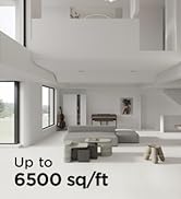 Up to 6500 sq/ft