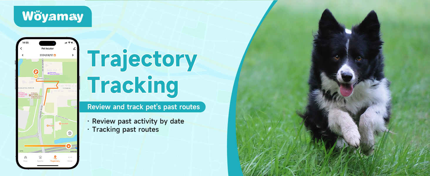 dog gps tracker