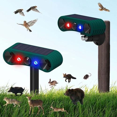 https://i.ebayimg.com/00/s/MTUwMFgxNTAw/z/rowAAOSwSEpoJwq8/$_12.JPG?set_id=880000500F