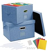 DECOSIS 2 Pack File Storage Box with 10 Hanging Folder &amp; Plastic Slide, Collapsible Linen Filling...