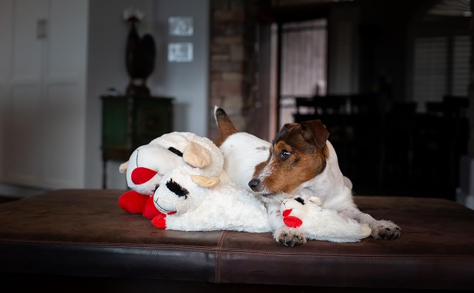 lambchop and jack