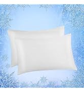 Elegear Cooling Pillow Cases for Hot Sleepers, Japanese Q-Max 0.45 Cooling Pillowcases, Both Side...