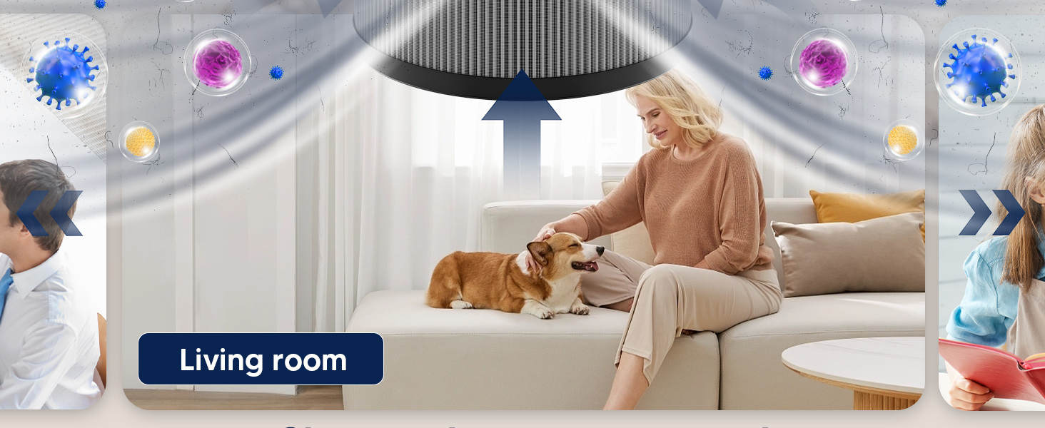 aroeve air purifier filter replacement