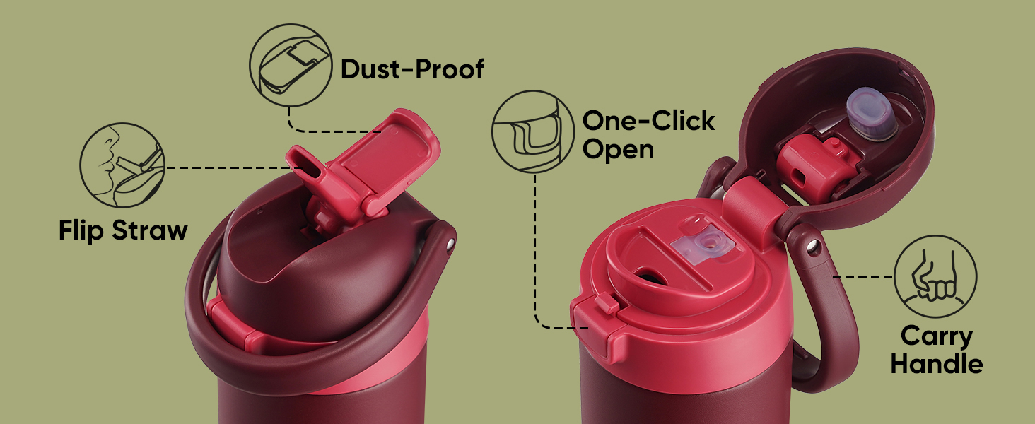 Insulated Water Bottle