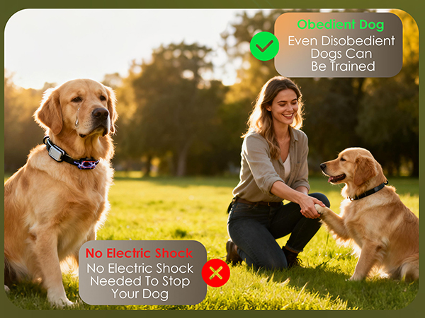 anti barking device for dogs