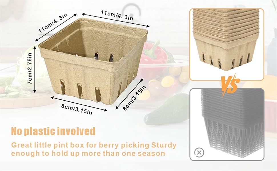  Natural Pulp Fiber 