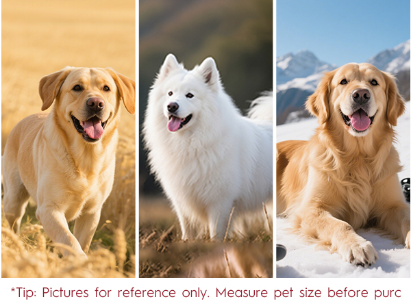 Bruvoalon Dog Harness Comes with Precise Sizing for Large - Sized Dogs